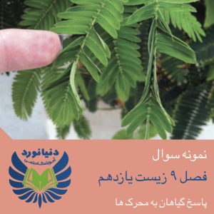 86سوال از فصل 9 زیست شناسی یازدهم