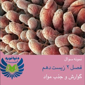 فصل 2 زیست شناسی دهم (پارت۱)