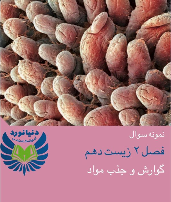 فصل 2 زیست شناسی دهم (پارت۱)