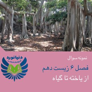 فصل 6 زیست شناسی دهم (پارت2)